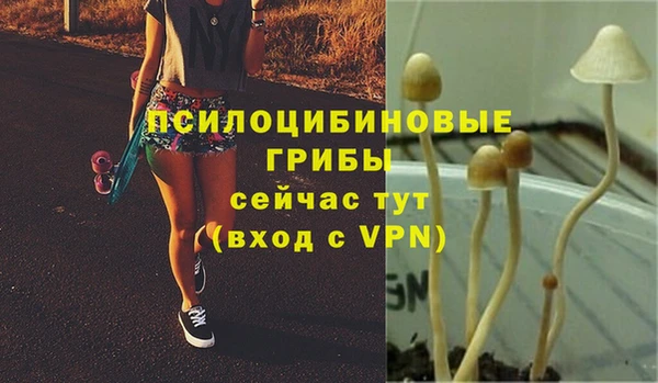 кокаин колумбия Богданович