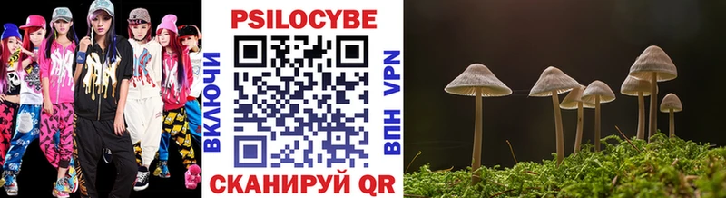 Галлюциногенные грибы Psilocybe  Купить где  Бутурлиновка 