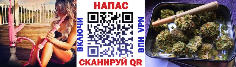 МАРИХУАНА план  Купить закладки  Бутурлиновка 